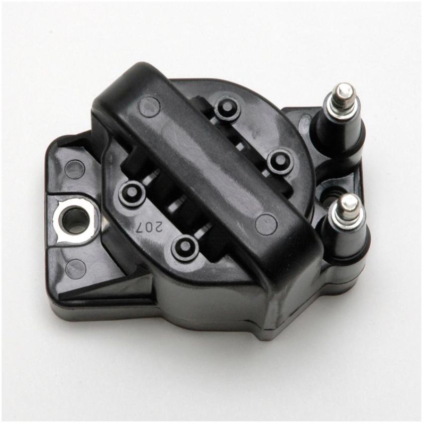 DELPHI GN10123 Ignition Coil