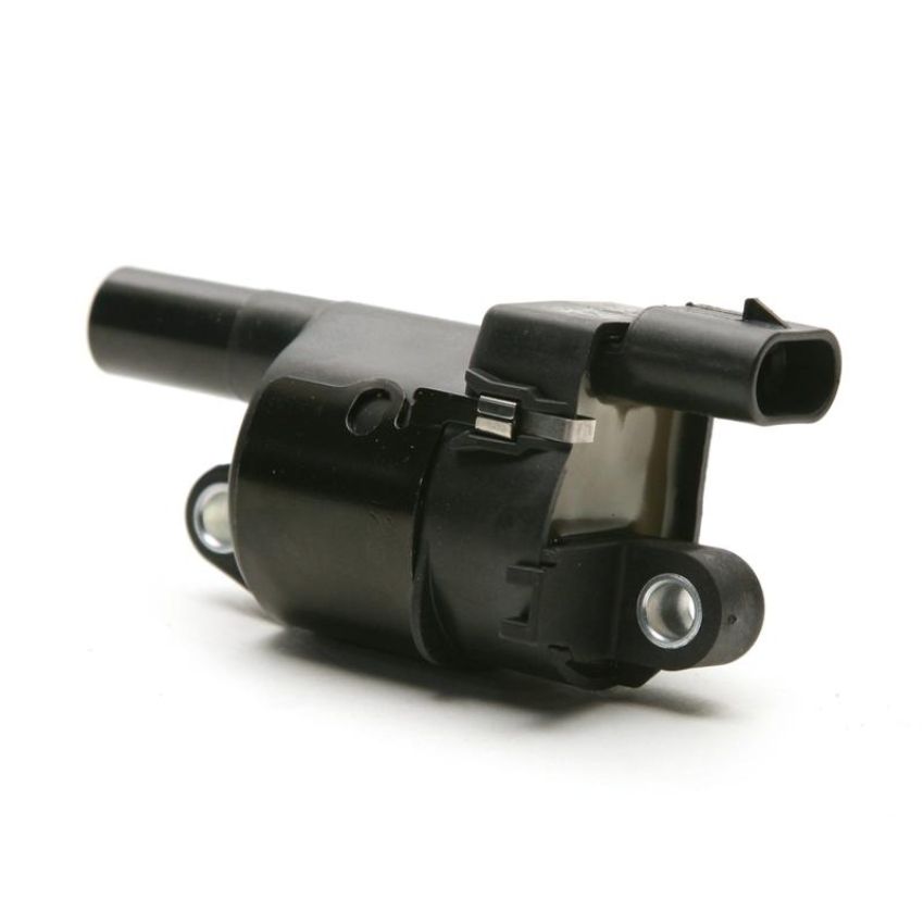 DELPHI GN10165 Ignition Coil