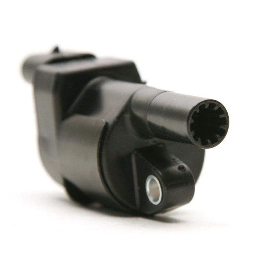 DELPHI GN10165 Ignition Coil