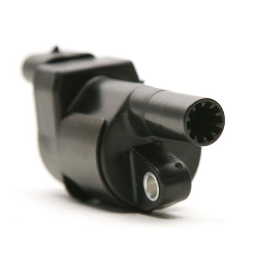 DELPHI GN10165 Ignition Coil