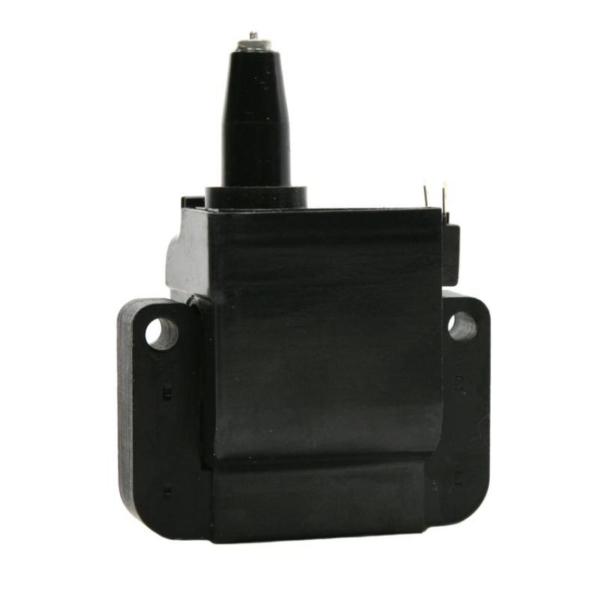 DELPHI GN10171 Ignition Coil
