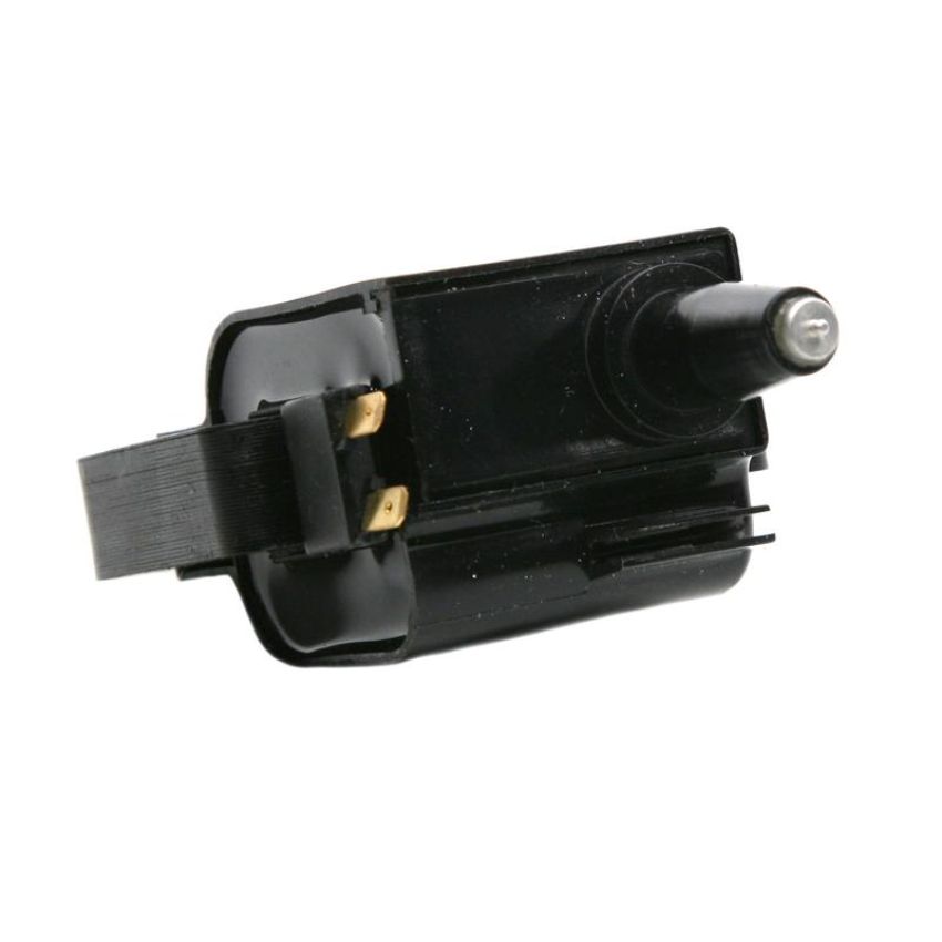 DELPHI GN10171 Ignition Coil