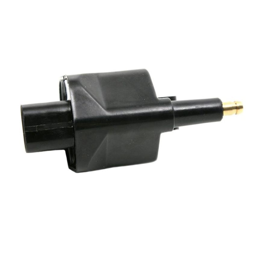 DELPHI GN10172 Ignition Coil