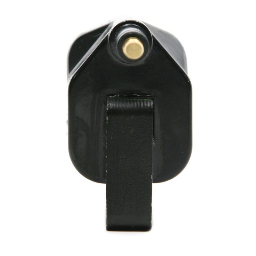 DELPHI GN10174 Ignition Coil