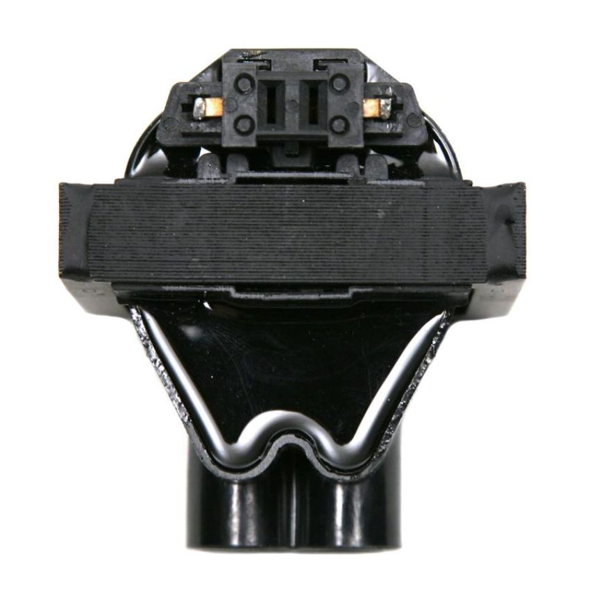 DELPHI GN10176 Ignition Coil