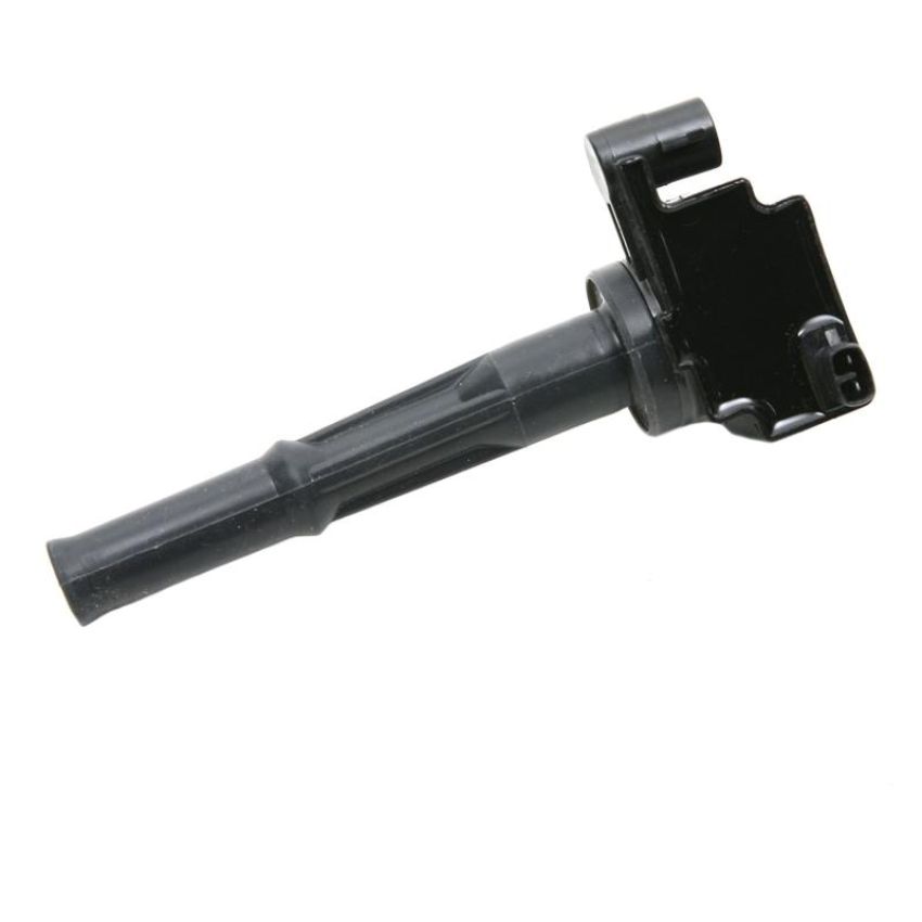 DELPHI GN10184 Ignition Coil
