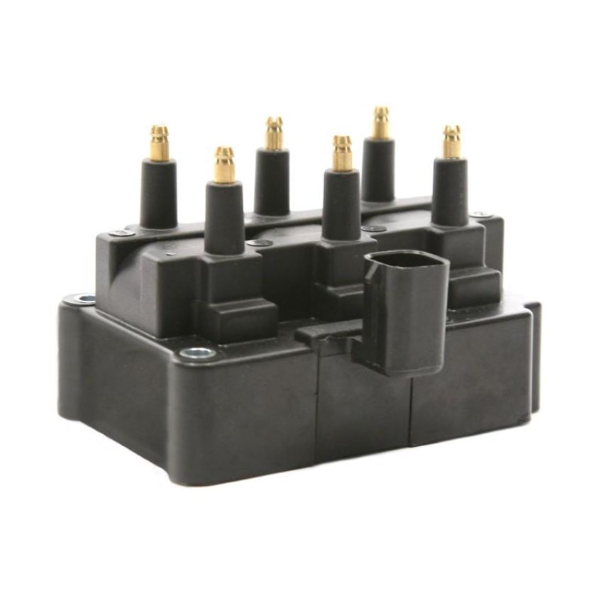 DELPHI GN10213 Ignition Coil