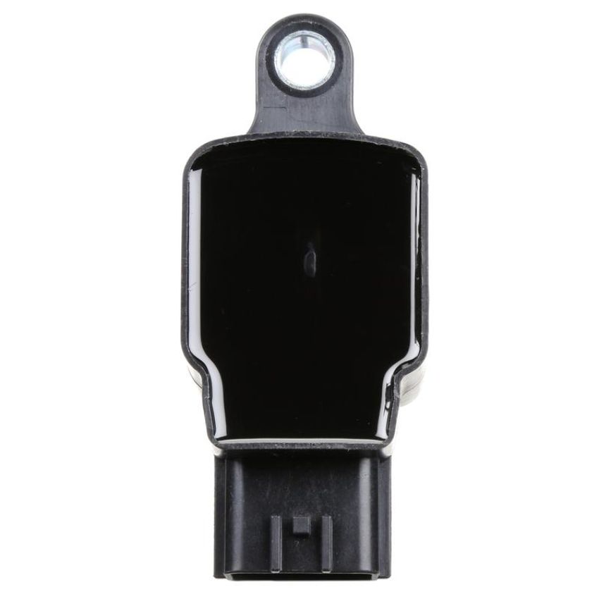 DELPHI GN10219 Ignition Coil