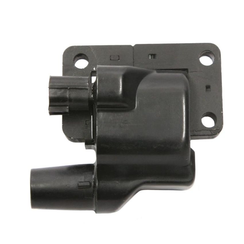 DELPHI GN10222 Ignition Coil