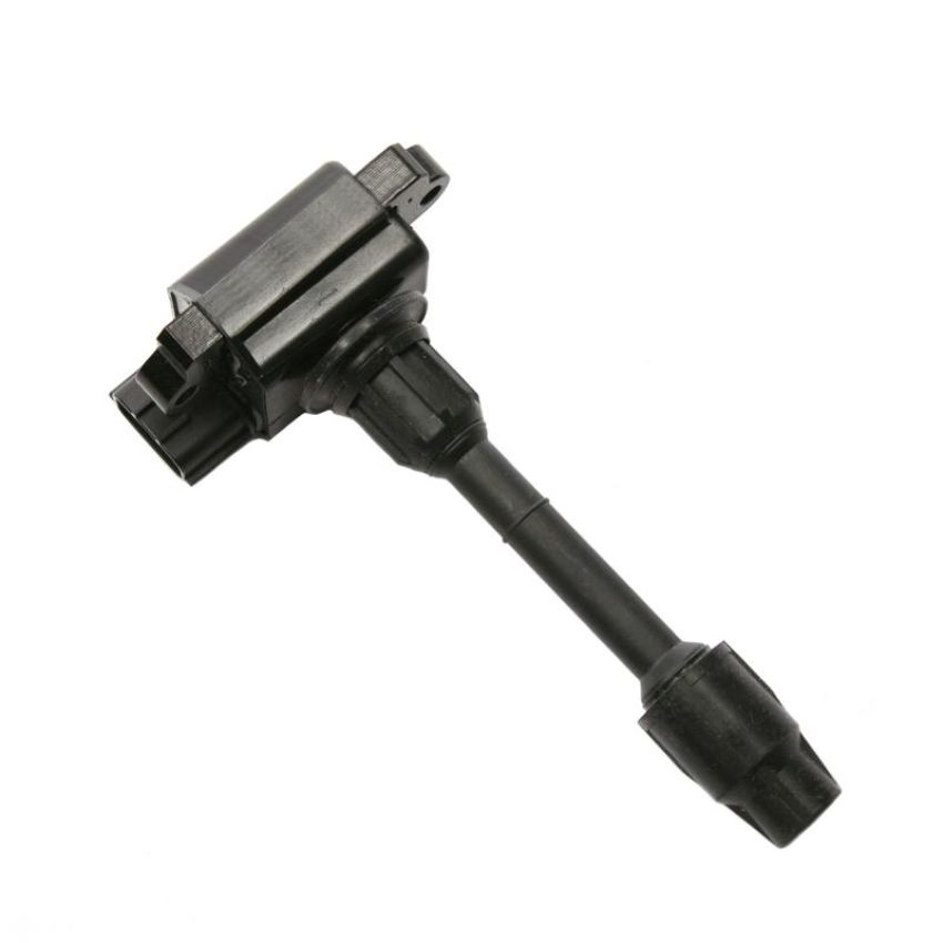 DELPHI GN10225 Ignition Coil