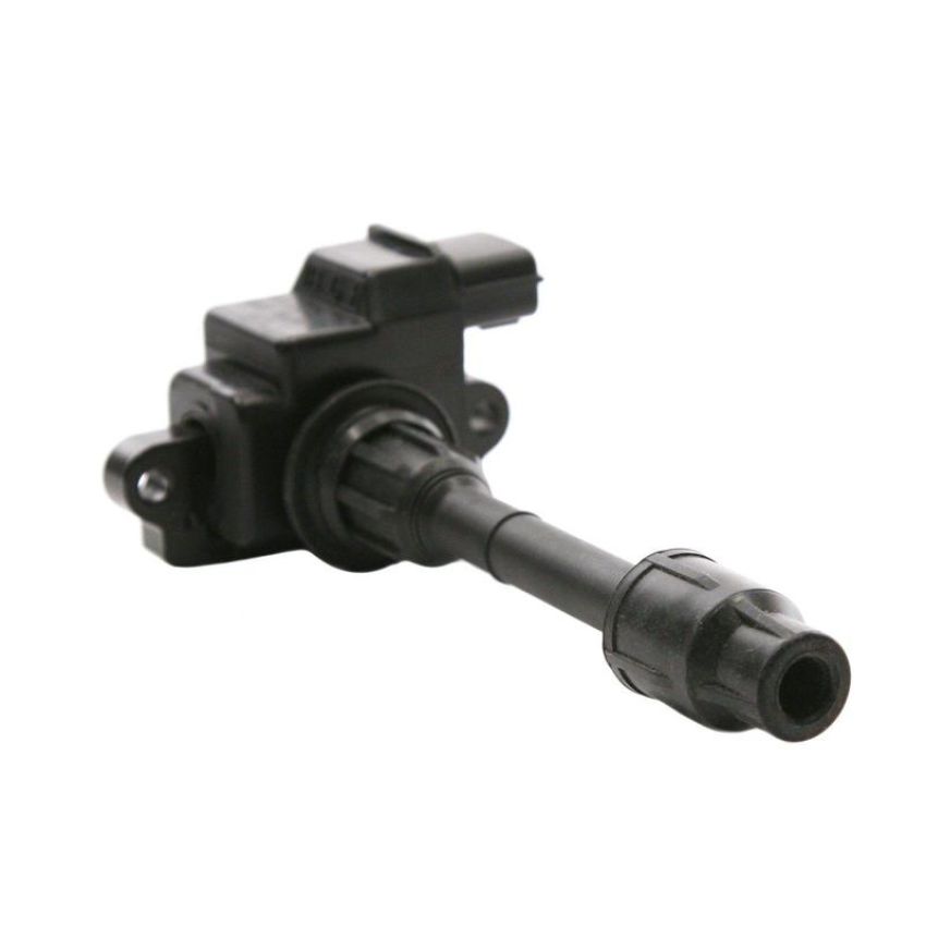 DELPHI GN10225 Ignition Coil