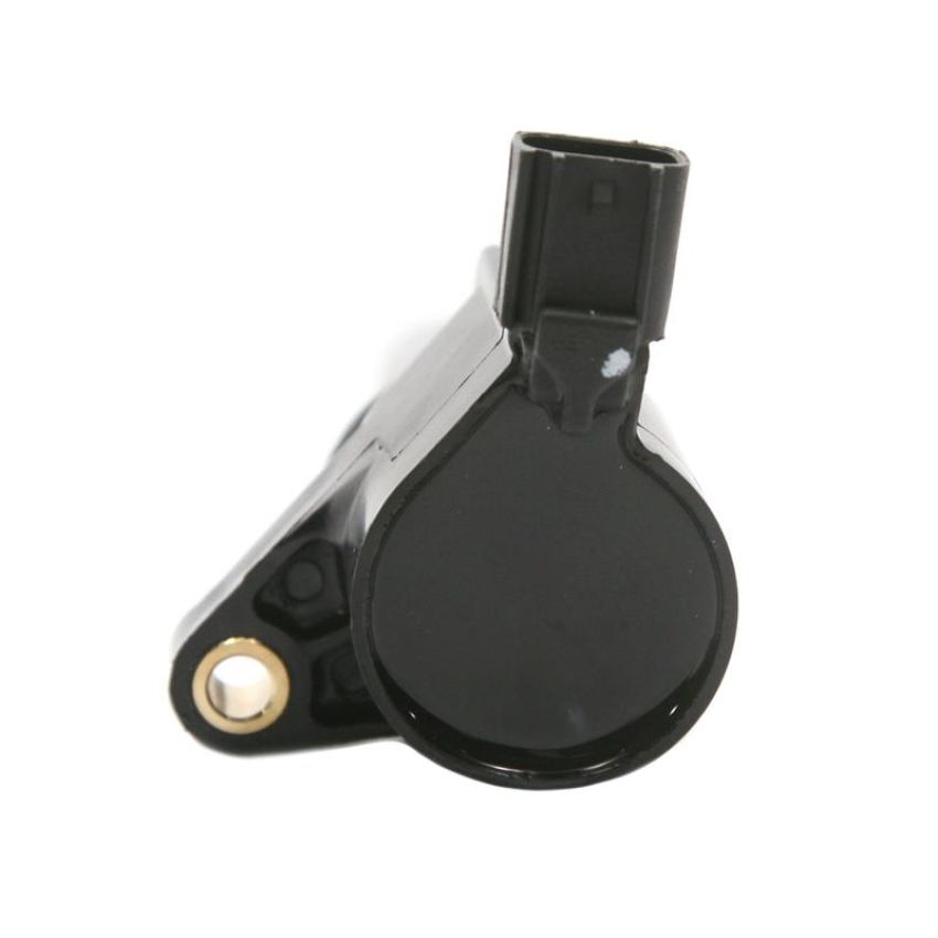 DELPHI GN10226 Ignition Coil