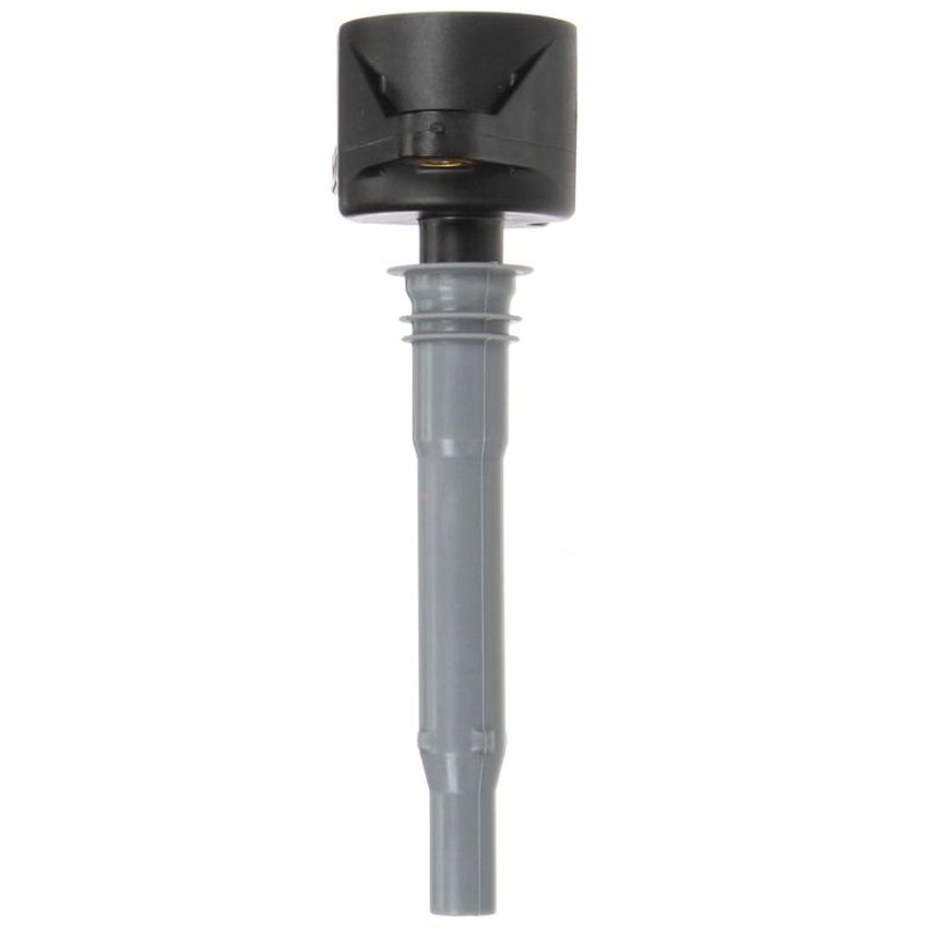DELPHI GN10232 Ignition Coil