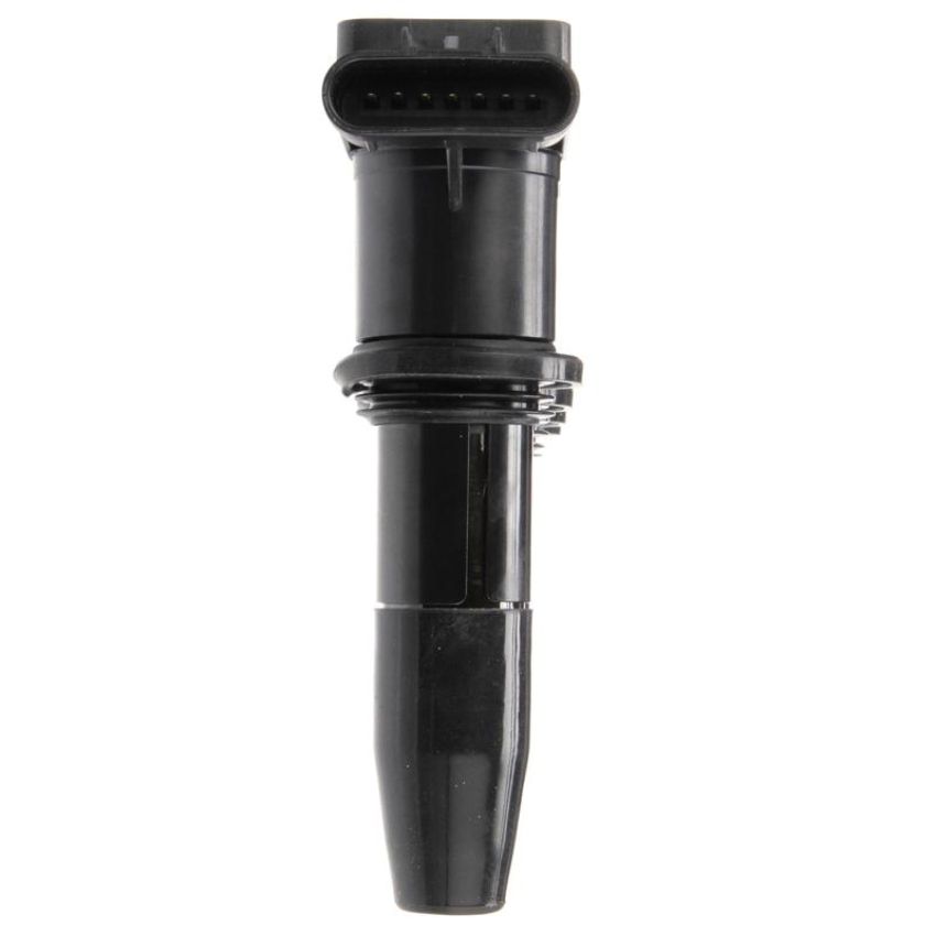 DELPHI GN10234 Ignition Coil