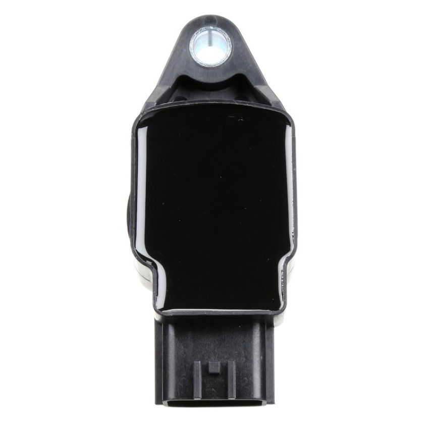DELPHI GN10241 Ignition Coil