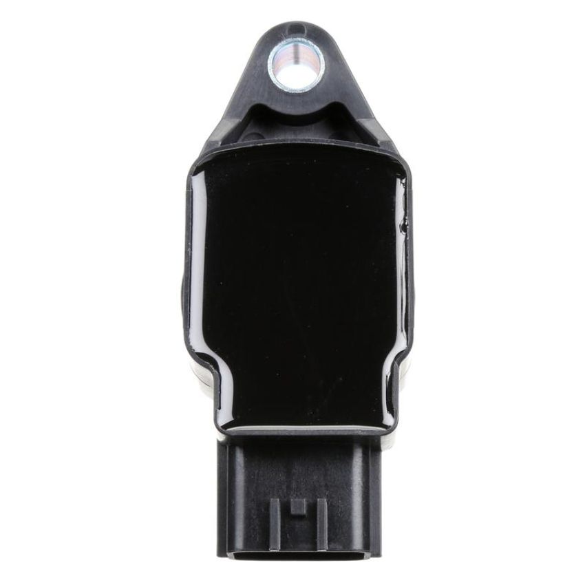 DELPHI GN10244 Ignition Coil