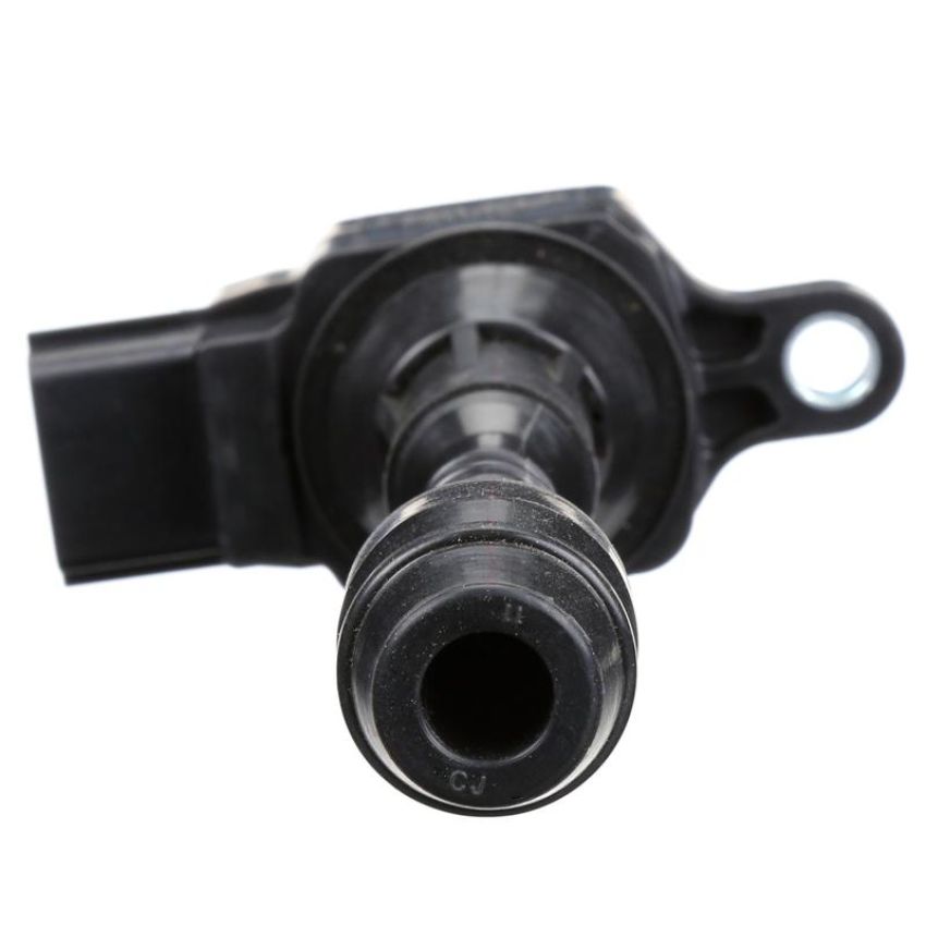 DELPHI GN10245 Ignition Coil