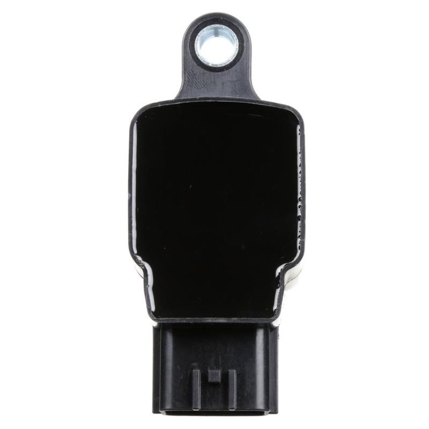 DELPHI GN10245 Ignition Coil