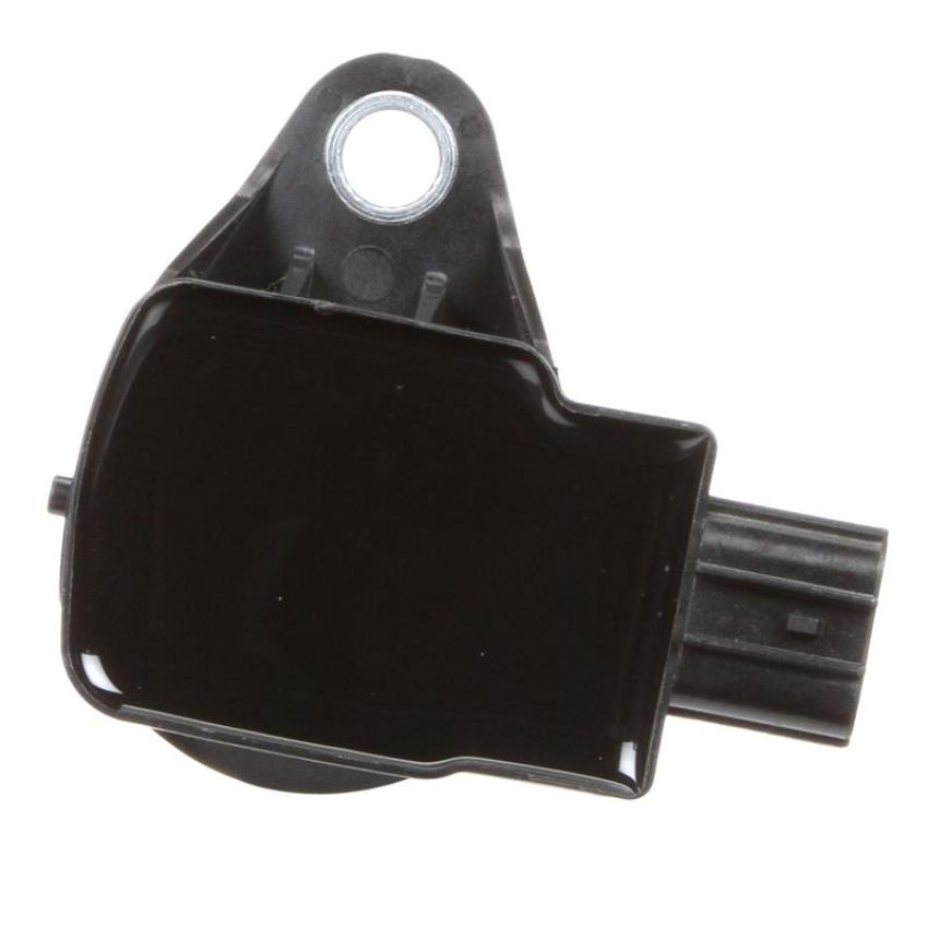 DELPHI GN10248 Ignition Coil