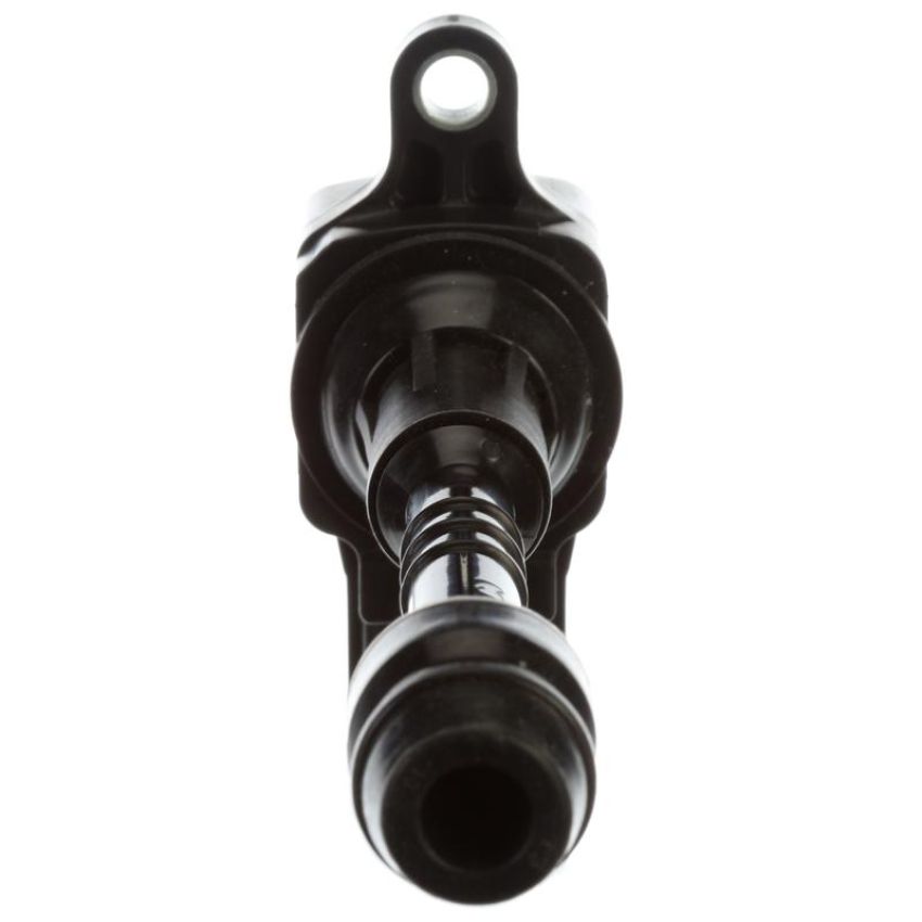 DELPHI GN10250 Ignition Coil