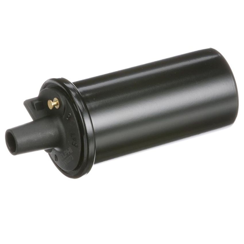 DELPHI GN10273 Ignition Coil