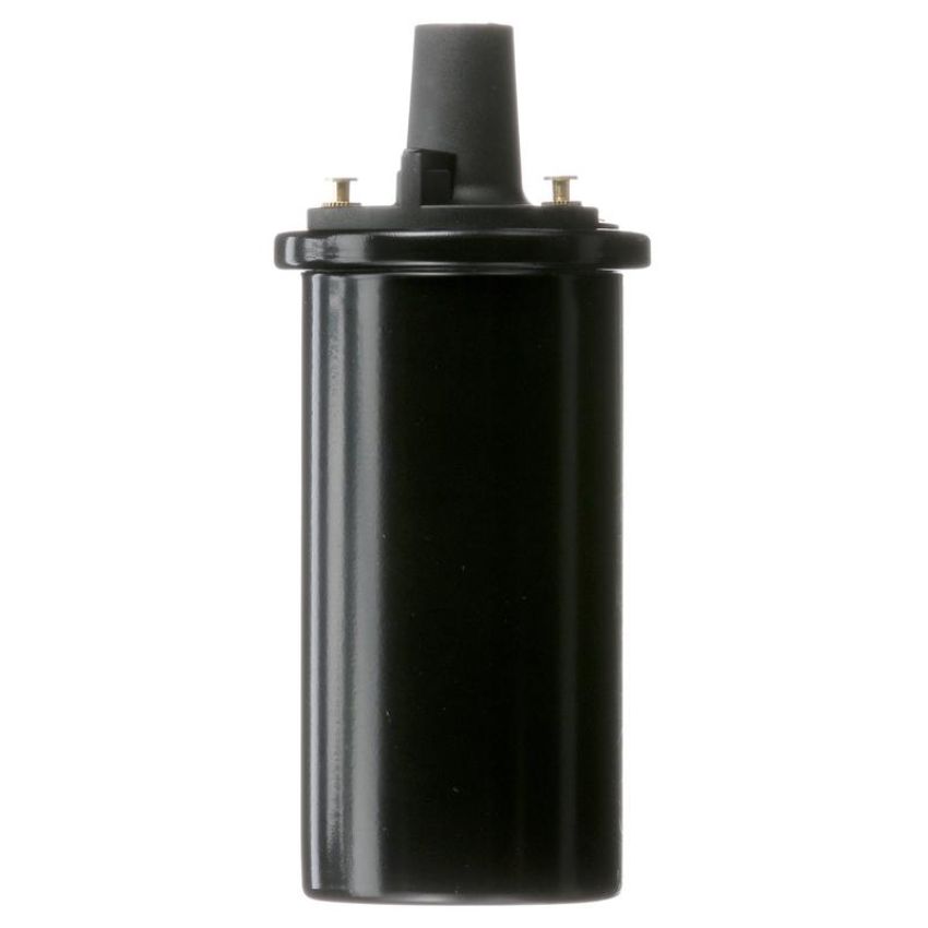 DELPHI GN10273 Ignition Coil