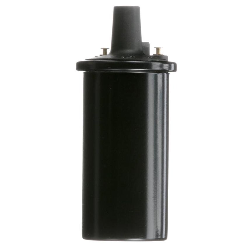 DELPHI GN10273 Ignition Coil