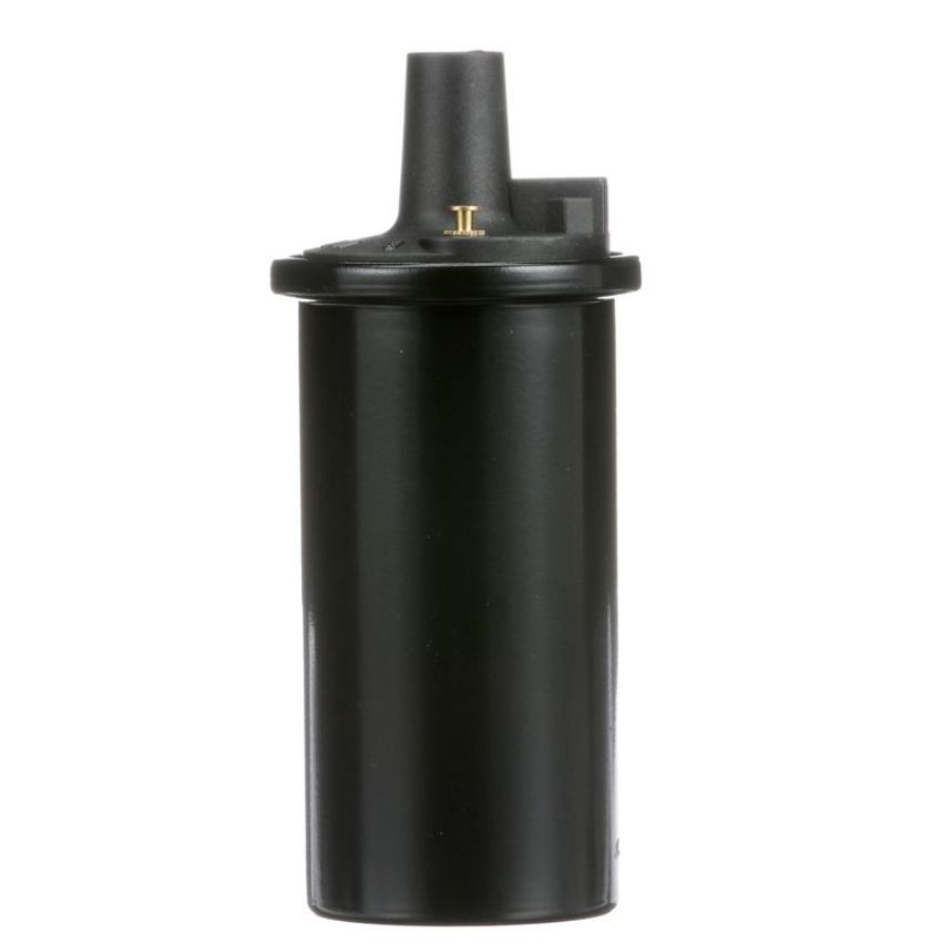 DELPHI GN10273 Ignition Coil