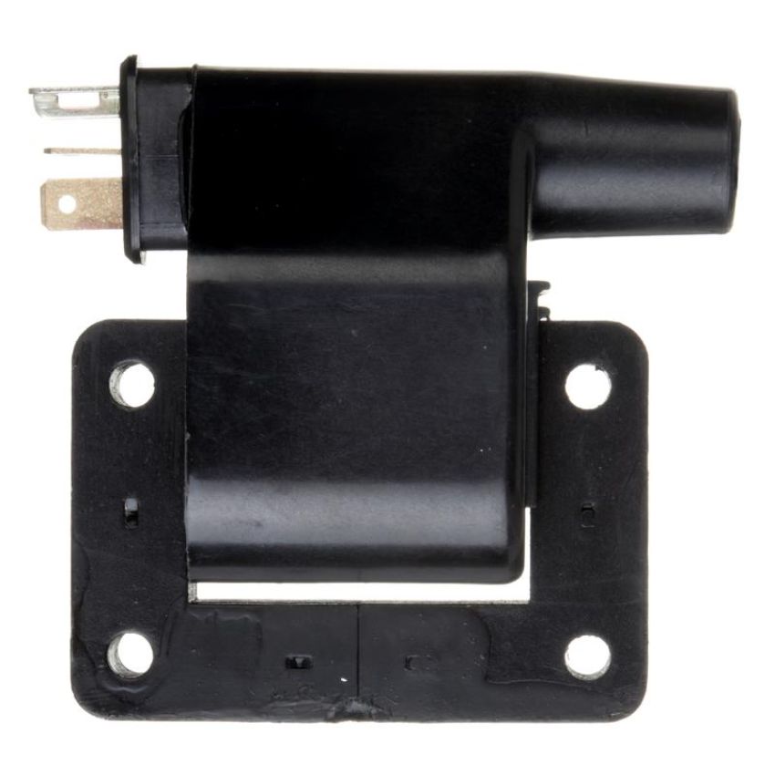 DELPHI GN10275 Ignition Coil