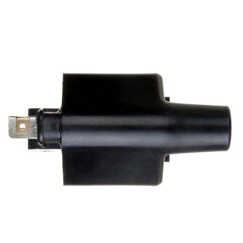DELPHI GN10275 Ignition Coil