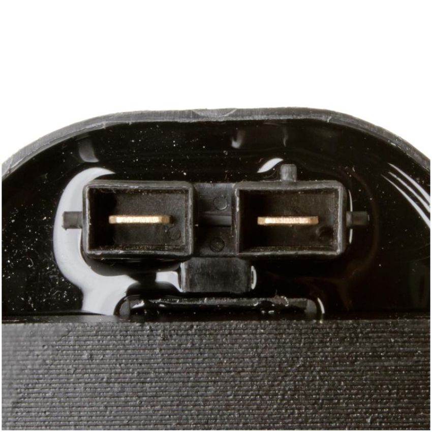 DELPHI GN10281 Ignition Coil
