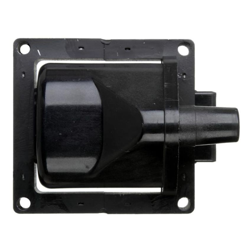 DELPHI GN10282 Ignition Coil