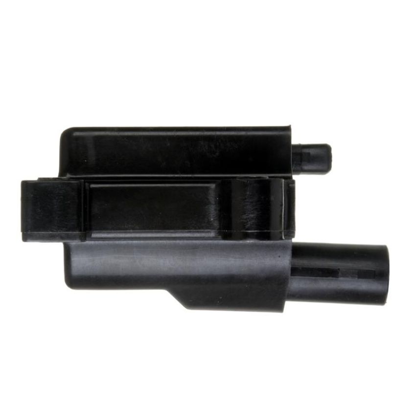 DELPHI GN10285 Ignition Coil