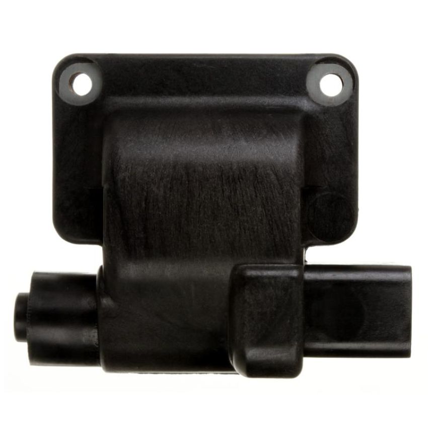 DELPHI GN10289 Ignition Coil