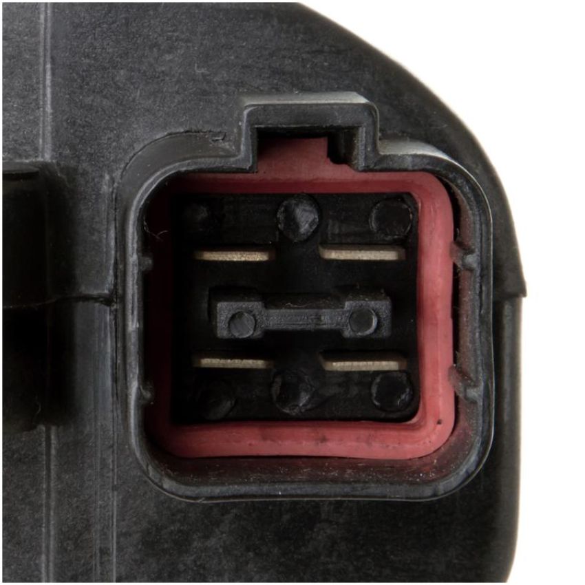 DELPHI GN10289 Ignition Coil