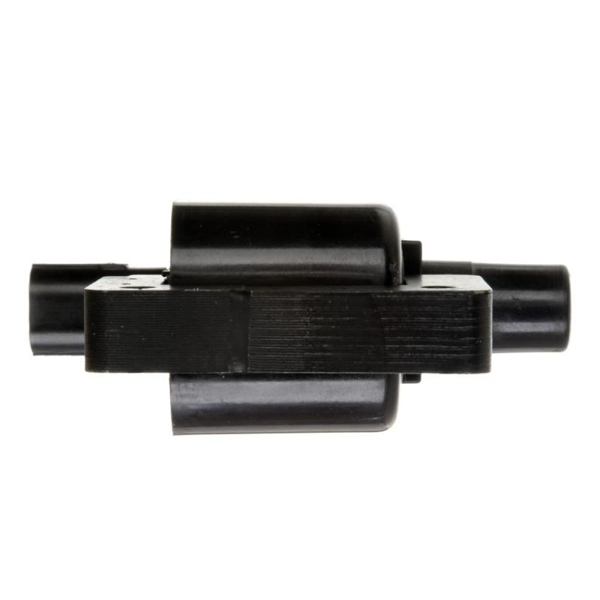 DELPHI GN10290 Ignition Coil
