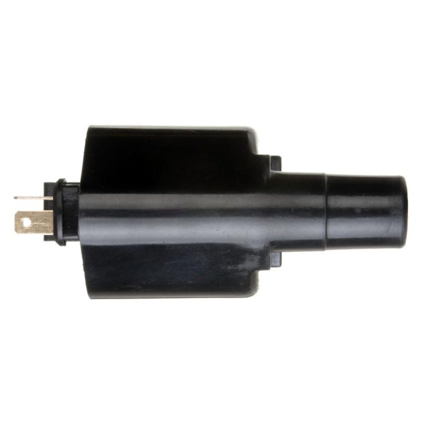 DELPHI GN10291 Ignition Coil