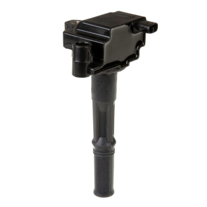 DELPHI GN10299 Ignition Coil