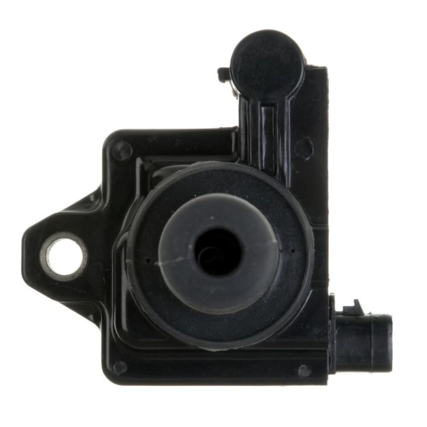 DELPHI GN10299 Ignition Coil