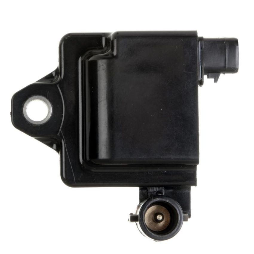 DELPHI GN10299 Ignition Coil