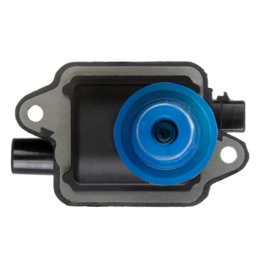 DELPHI GN10307 Ignition Coil