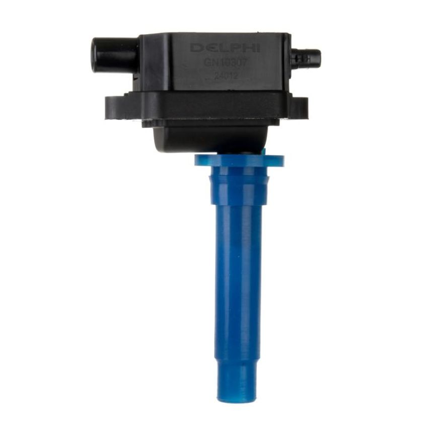 DELPHI GN10307 Ignition Coil