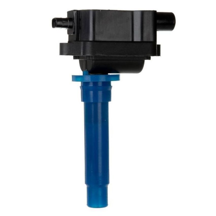 DELPHI GN10307 Ignition Coil