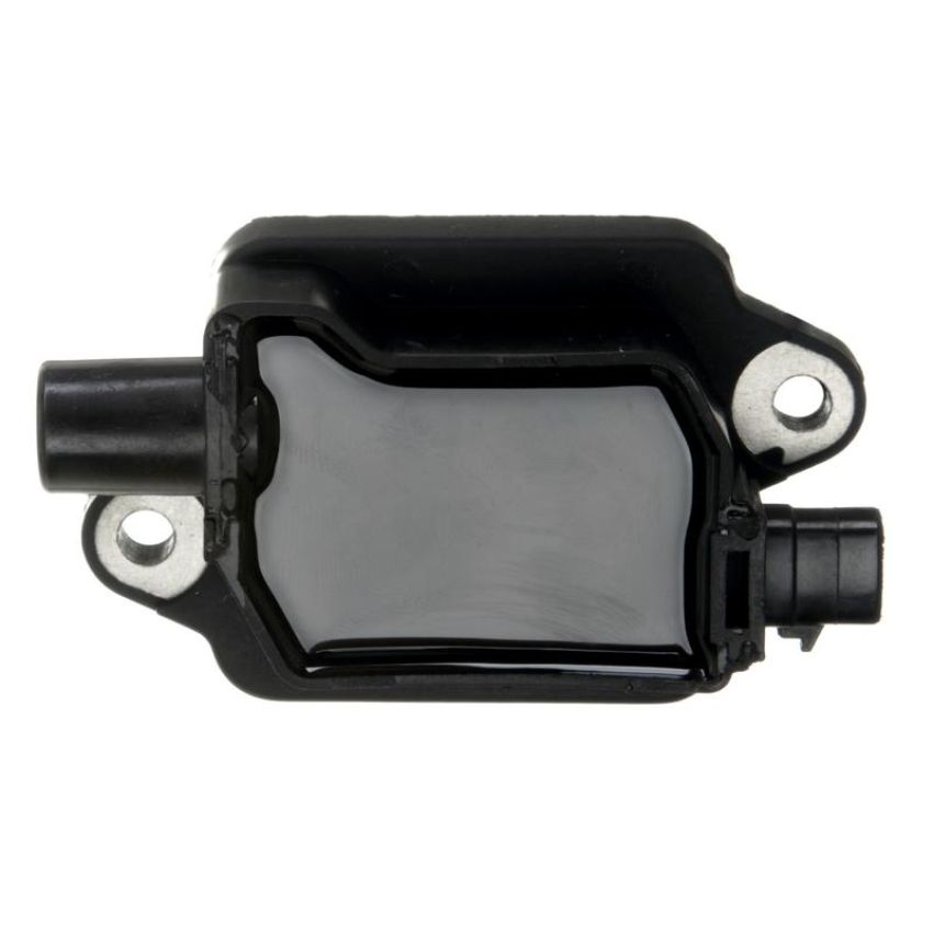 DELPHI GN10307 Ignition Coil