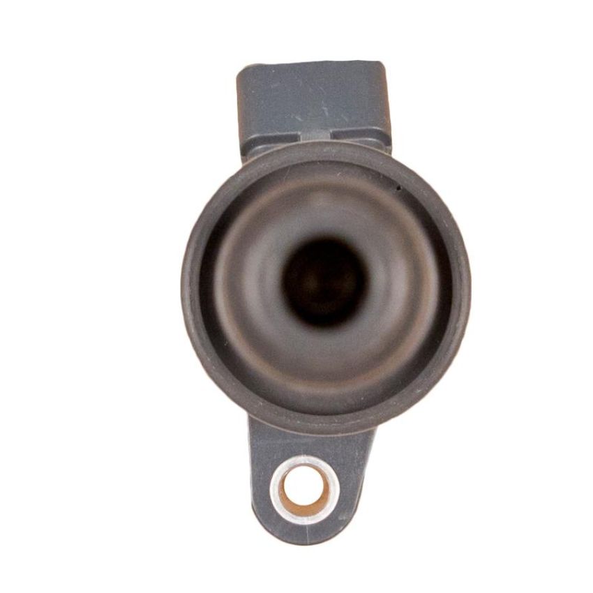 DELPHI GN10313 Ignition Coil