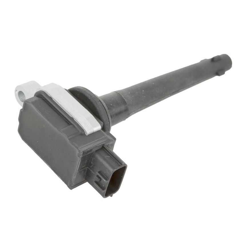 DELPHI GN10325 Ignition Coil