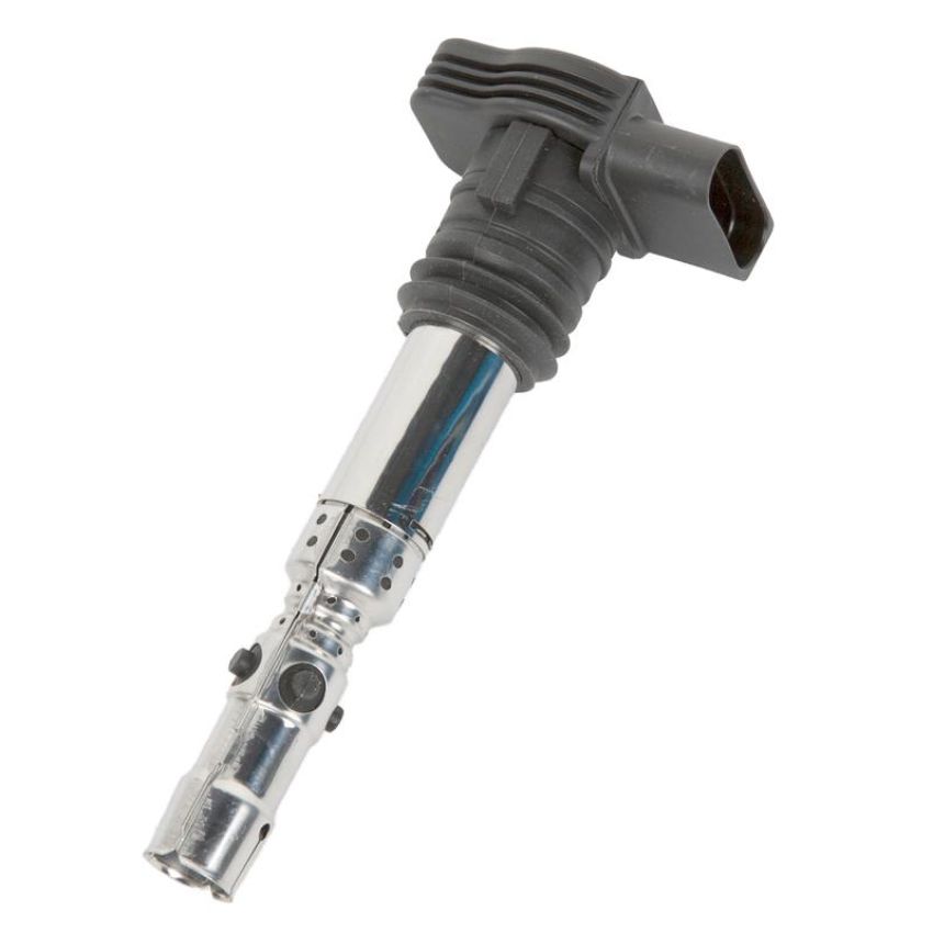 DELPHI GN10345 Ignition Coil
