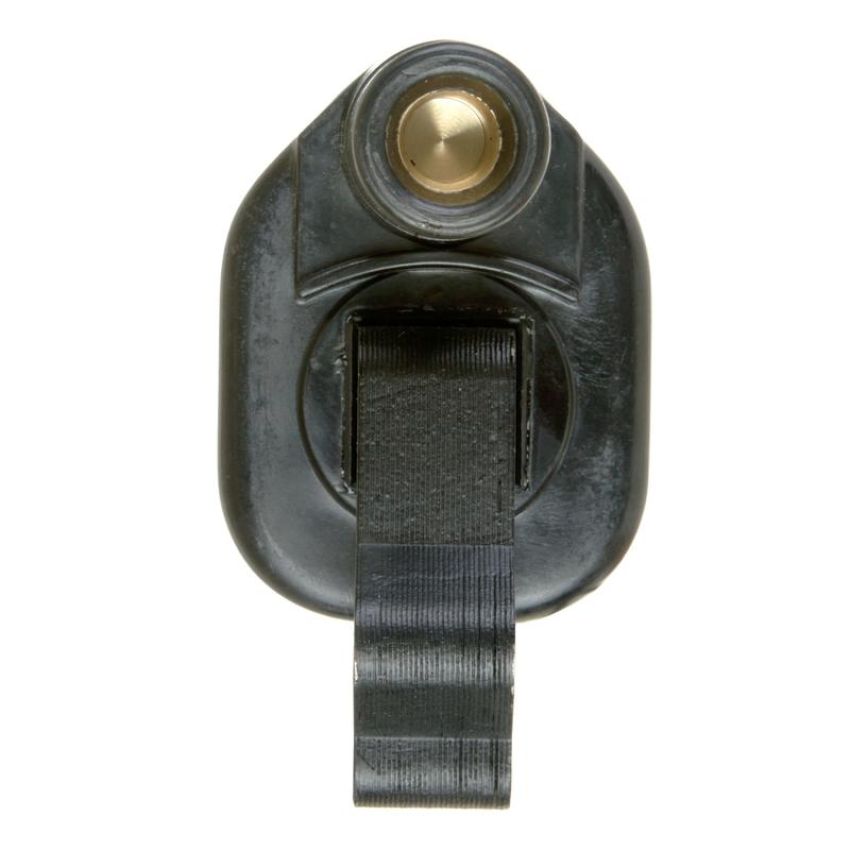DELPHI GN10349 Ignition Coil