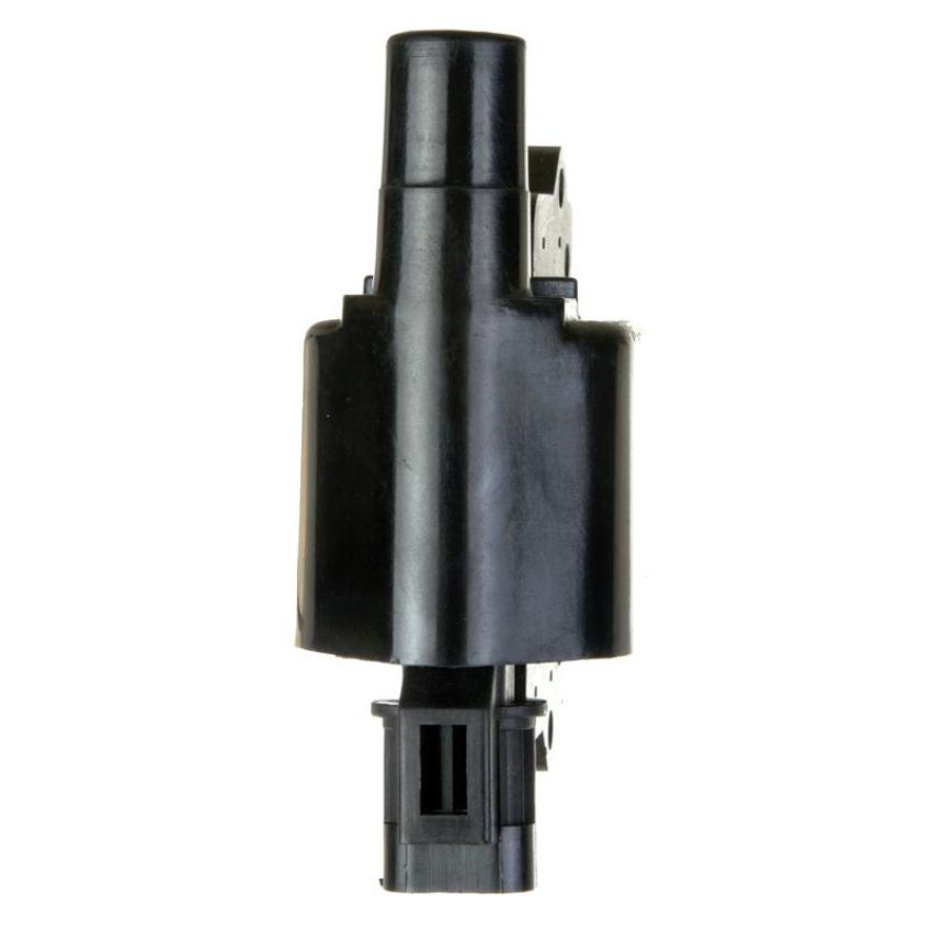 DELPHI GN10349 Ignition Coil