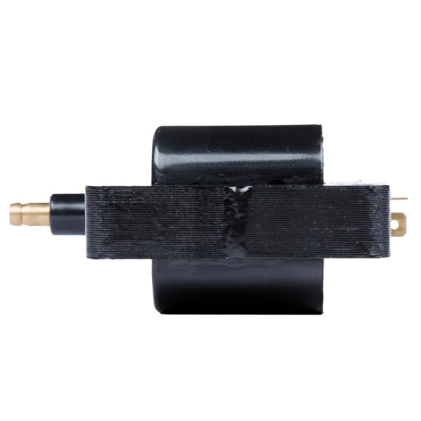 DELPHI GN10359 Ignition Coil